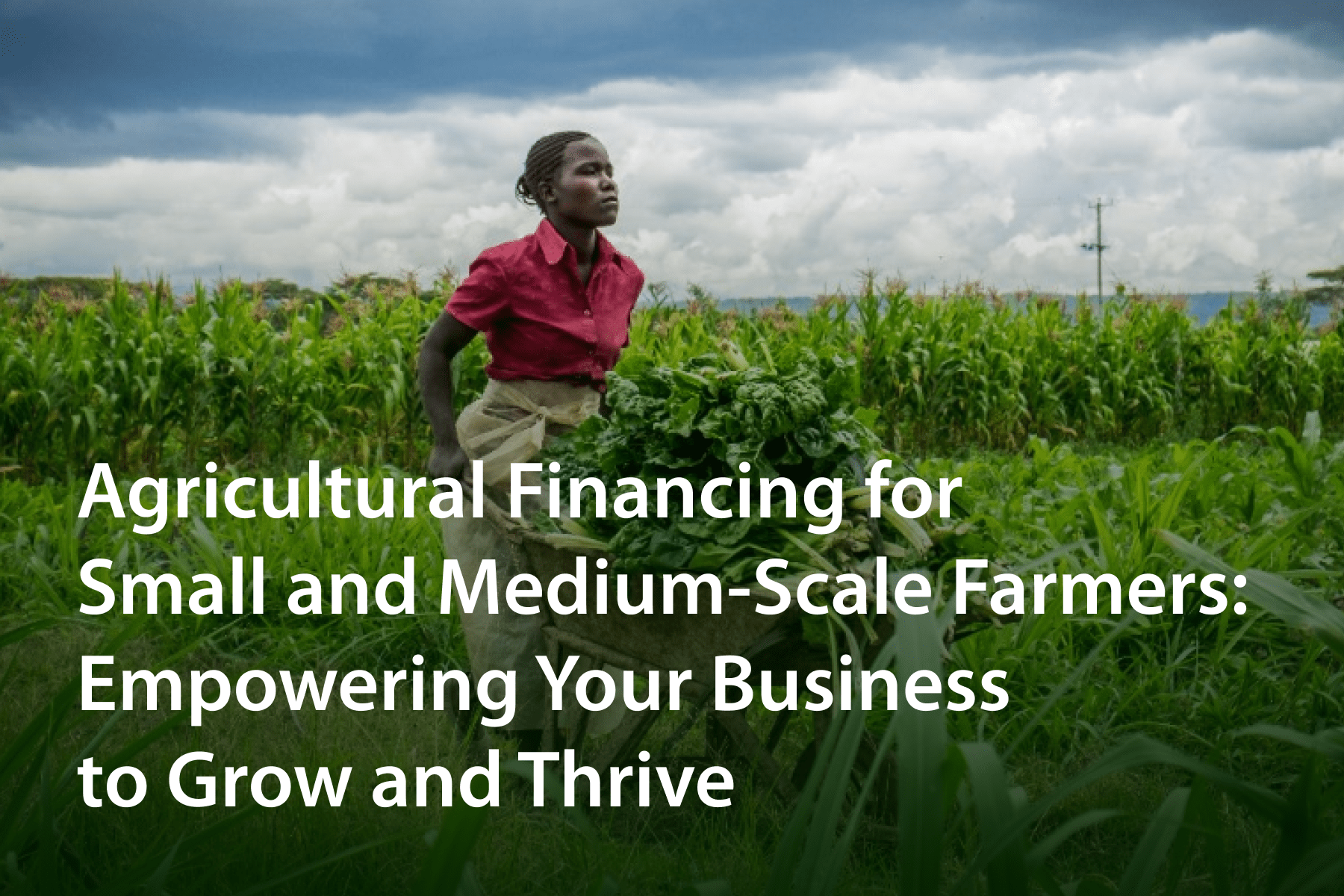 Agricultural Financing for Small and Medium-Scale Farmers (1)