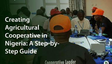 Creating Agricultural Cooperative in Nigeria