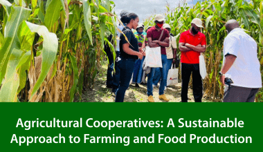 Tips for Optimizing Your Agricultural Cooperative