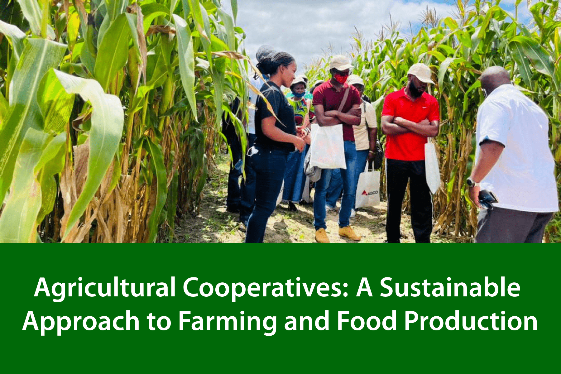 Tips for Optimizing Your Agricultural Cooperative
