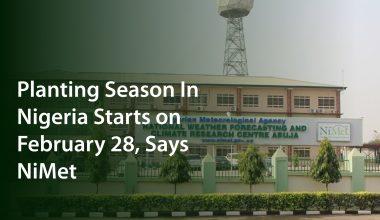 Planting Season In Nigeria Starts on February 28, Says NiMet