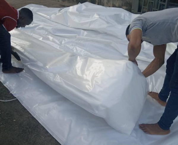 Plastic Greenhouse Solari Cover
