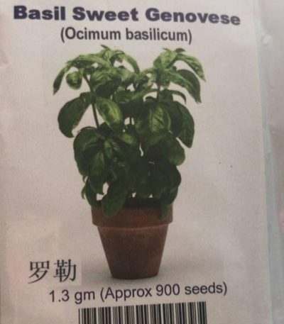 Basil Sweet Seeds