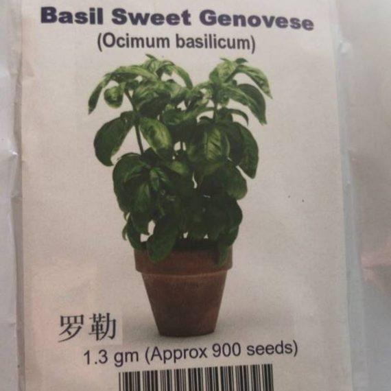 Basil Sweet Seeds