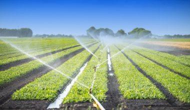 Provision of Low-cost Irrigation Equipment for Small-scale Farmers