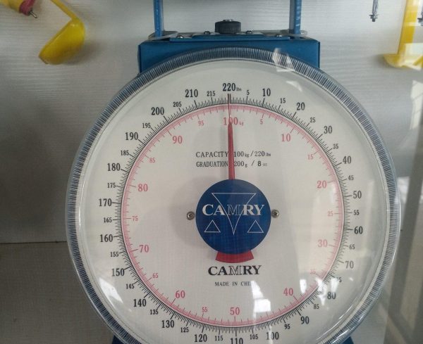 Camry Spring Scale | 100kg