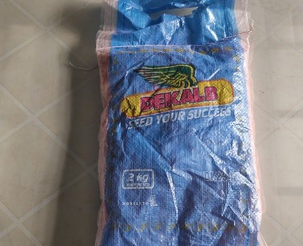 Dekalb Maize Hybrid Seeds (White) -2kg