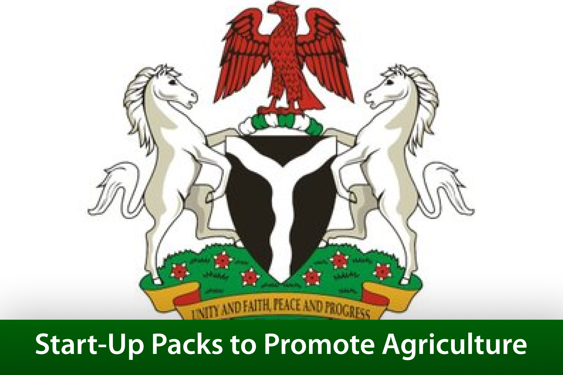 Start-Up Packs to Promote Agriculture