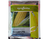 Sugar 75 Sweet Corn Seeds