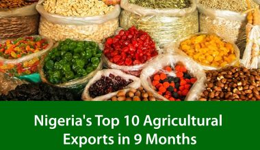Nigeria's Top 10 Agricultural Exports