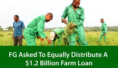 $1.2 Billion Farm Loan