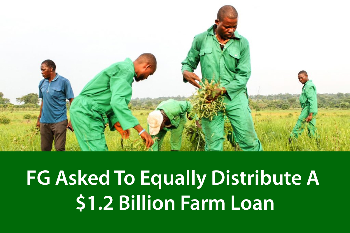 $1.2 Billion Farm Loan