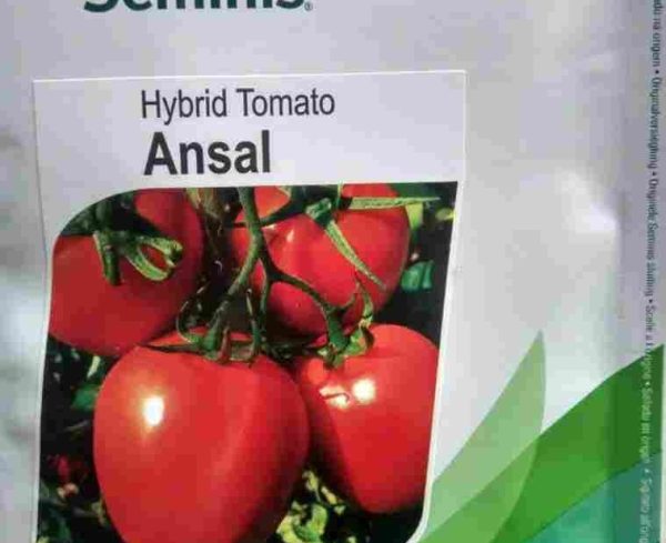 Ansal F1 Tomato Seeds