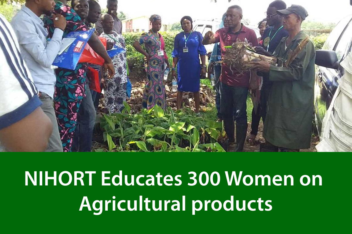 NIHORT Educates 300 Women and Young People About Agricultural Products