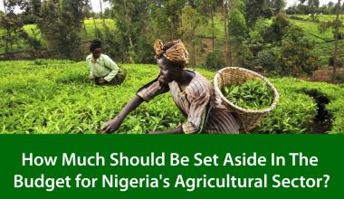 The Budget for Nigeria's Agricultural Sector