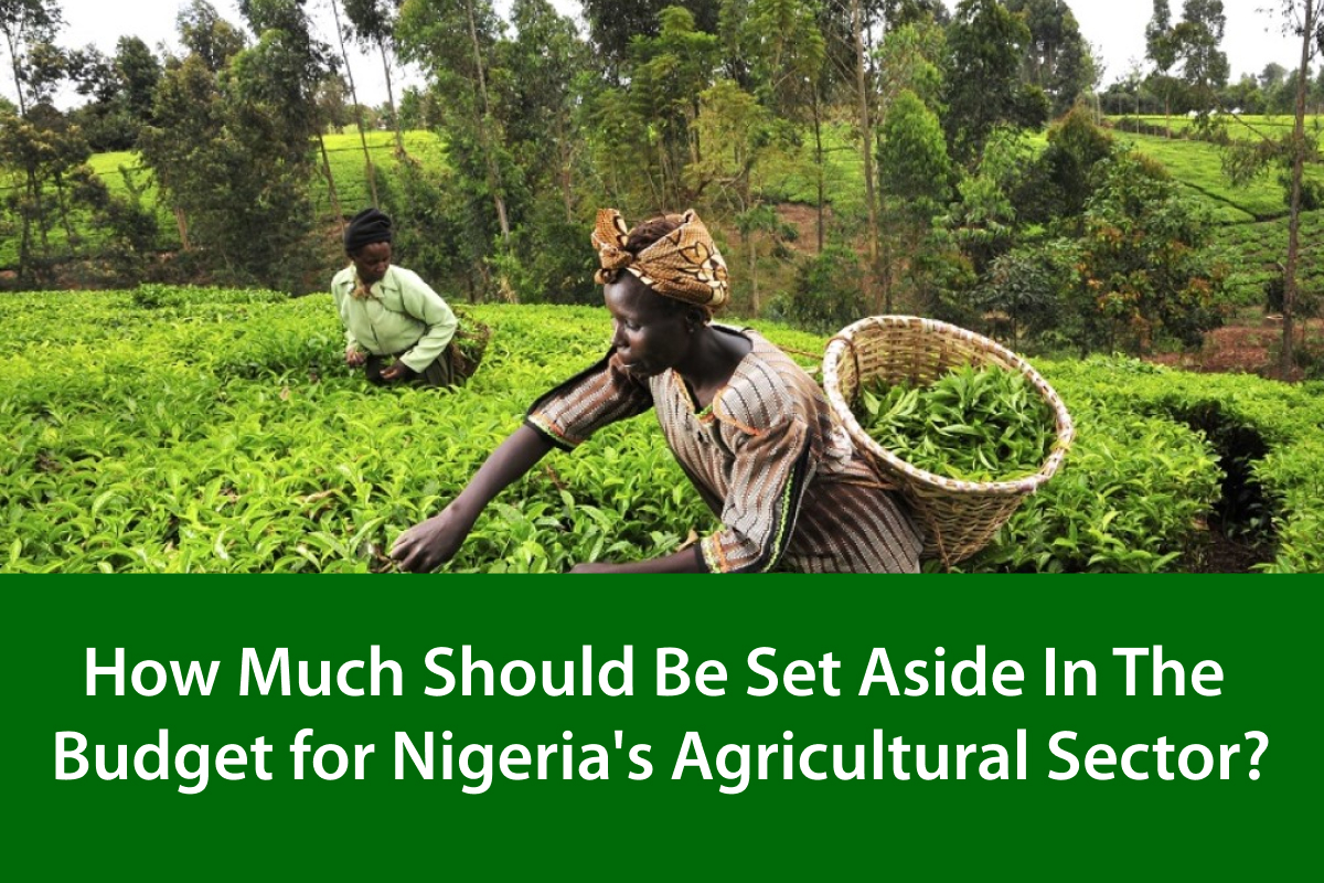 The Budget for Nigeria's Agricultural Sector