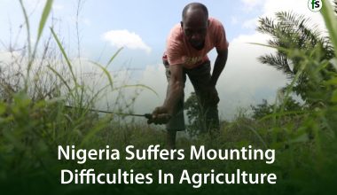 mounting difficulties in agriculture