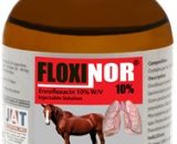Floxinor