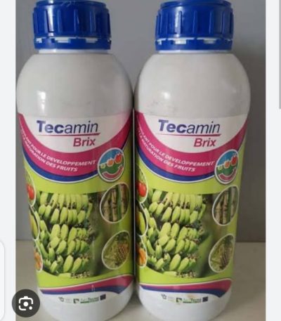 Tecamin Brix Biostimulant