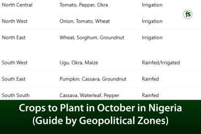 Crops to Plant in October in Nigeria