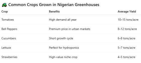 Common Crops Grown in Nigerian Greenhouses