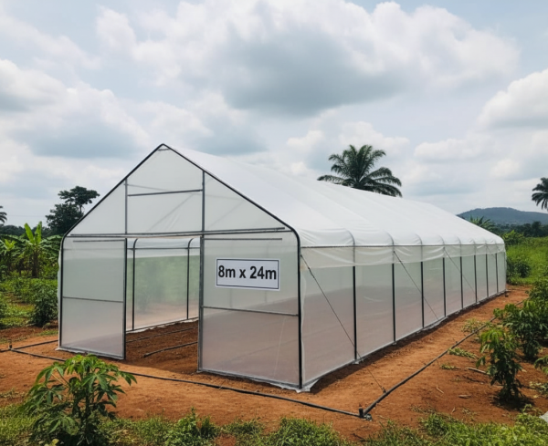 Gothic Greenhouse