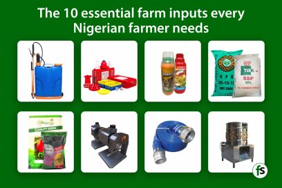 10 Essential Farm Inputs Every Nigerian Farmer Needs for Success