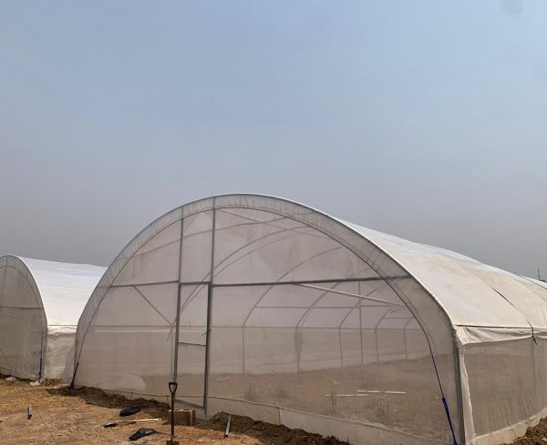 8m × 48m Dome (Arched) Greenhouse