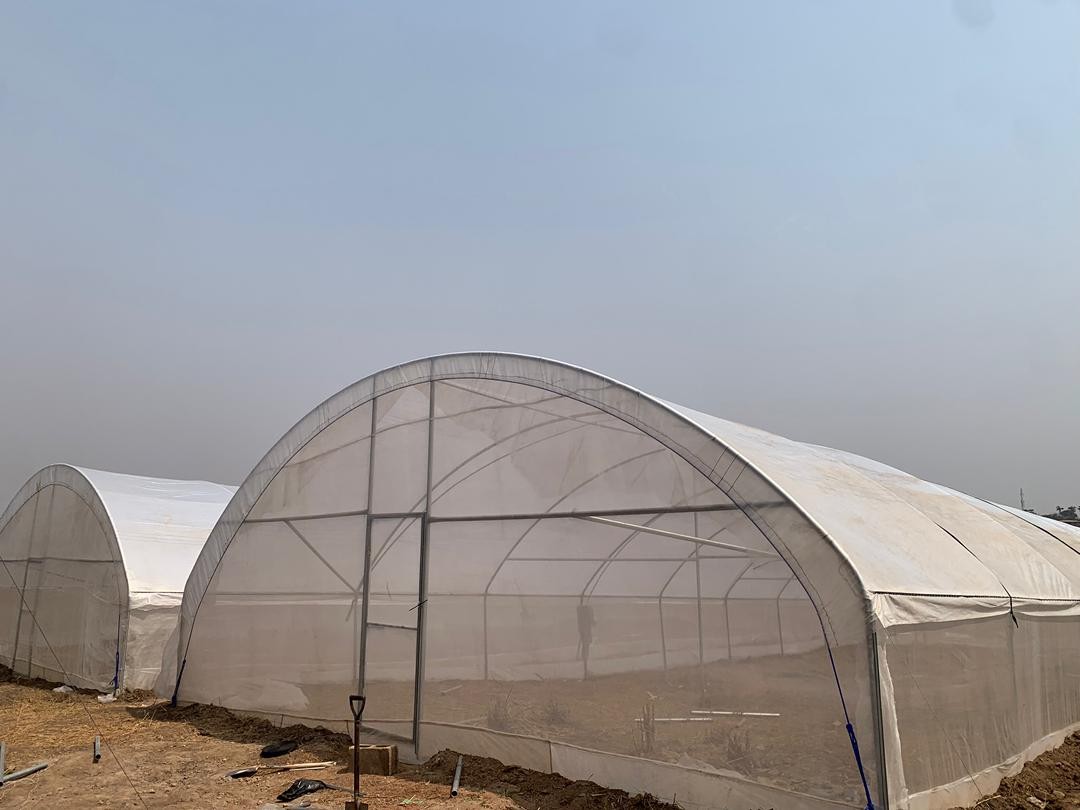 dome Dome (Arched) Greenhouse – 8m × 24m | Affordable Starter Greenhouse for Smallholder Farmers in Nigeria. - Image 1