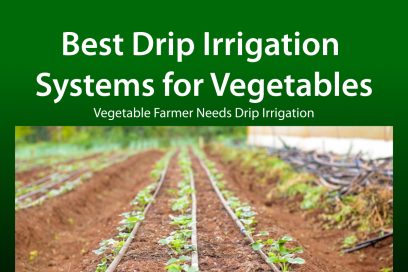 Drip Irrigation Systems for Vegetables in Nigeria