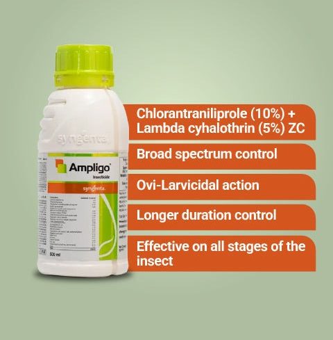 Ampligo Insecticide 250ml