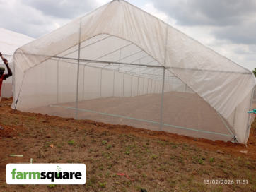 Greenhouse Farming in Nigeria