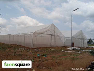Greenhouse Farming in Nigeria