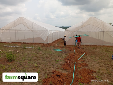 Greenhouse Farming in Nigeria