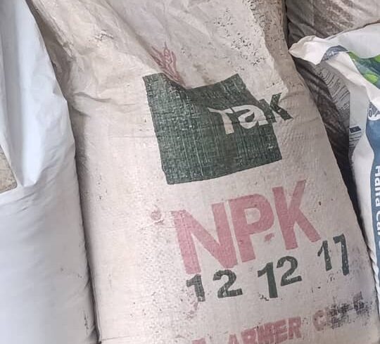 NPK 12:12:17 Fertilizer | 50kg