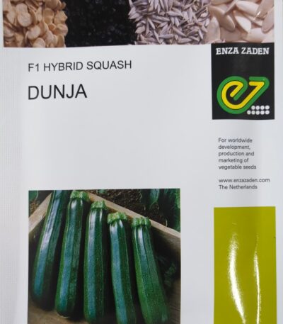 Squash Dunja F1 | 1000 Seeds