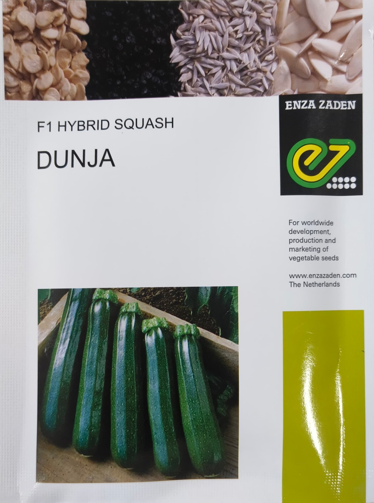 Squash Dunja F1 1000 Seeds Squash Dunja F1 | 1000 Seeds