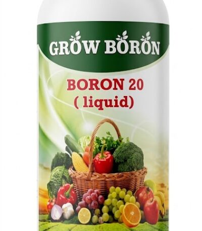 Boron Organic Liquid Fertilizer | 1L