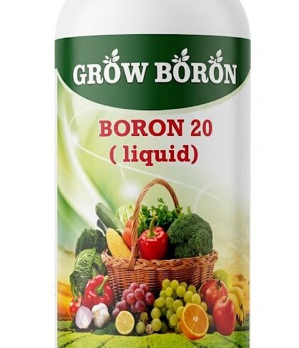Boron Organic Liquid Fertilizer | 1L