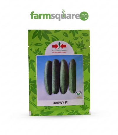 Daewy F1 Cucumber Seeds | 1000seeds