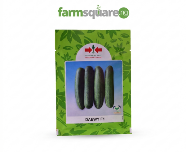 Daewy F1 Cucumber Seeds | 1000seeds