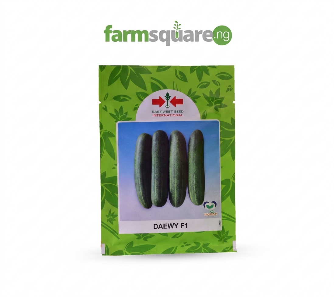 Daewy F1 cucumber seeds Daewy F1 Cucumber Seeds | 1000seeds