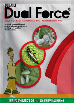 Dual force Insecticide | 10g