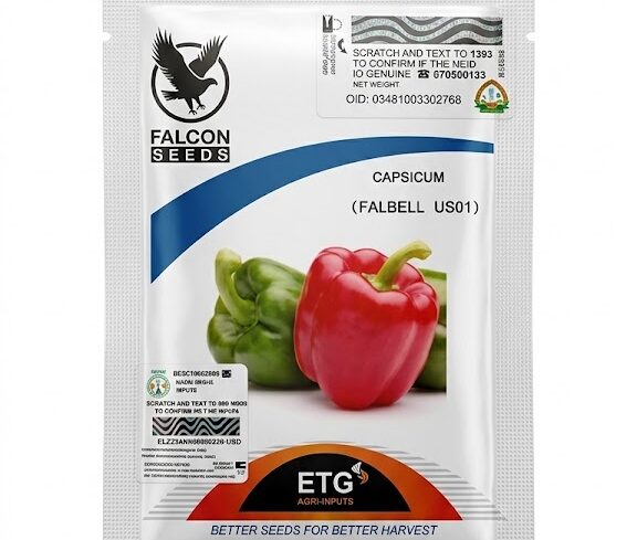 Falcon Bell Pepper Seeds | (Falcon seeds) 10g