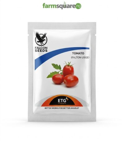 Falcon Tomato Seeds |(Falcon Seeds) 10g