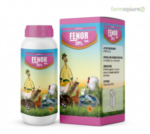 Fenor 20 percent florfenicol oral antibiotic for poultry pigs and fish