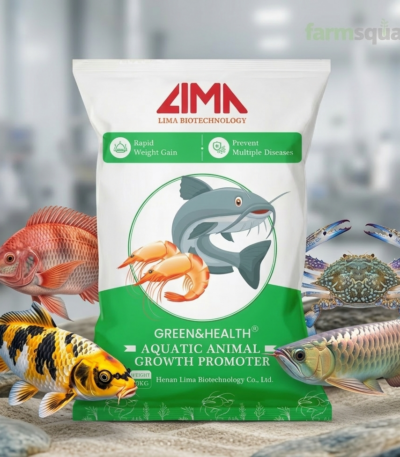 fish growth promoter 20kg aquaculture feed additive