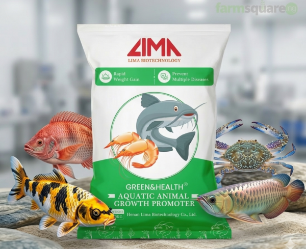 fish growth promoter 20kg aquaculture feed additive