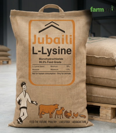 Ajinomoto L-Lysine HCl 98.5% poultry feed additive 25kg bag