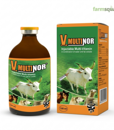V Multinor veterinary multivitamin injection for poultry and livestock productivity
